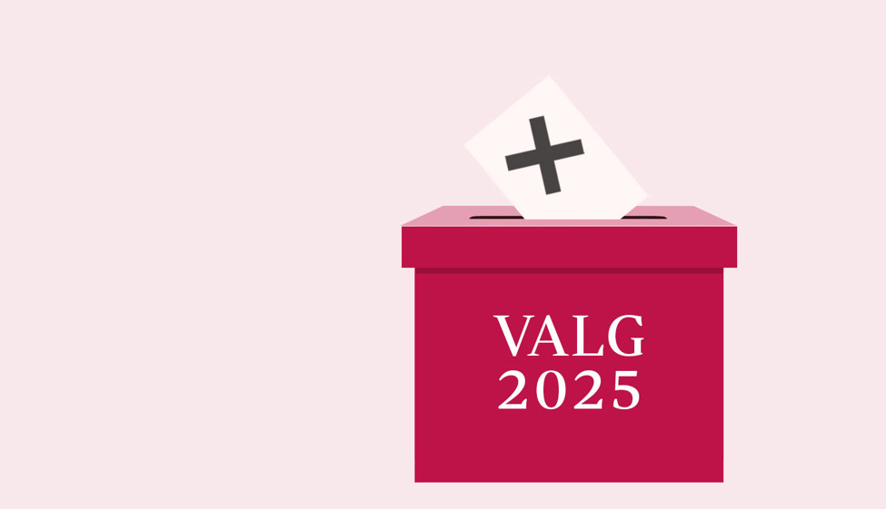 Valg 2025