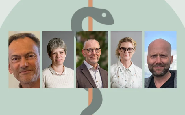 De fem regionale formænd i PLO - Fra venstre, Peter Wied (formand for PLO-Sjælland), Dinah Høngaard (formand for PLO-Nordjylland), Peder Reistad (formand for PLO-Hovedstaden), Birgitte Ries Møller (formand for PLO-Syddanmark) og Henrik Idriss Kise (formand for PLO-Midtjylland),