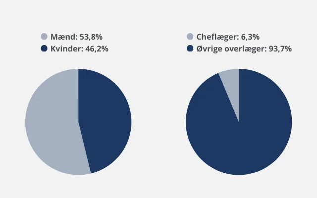 Kønsfordelingen i Overlægeforeningen er 553,8% mænd og 46,2% kvinder. 6,3 % er cheflæger og 93,7% er øvrige overlæger.